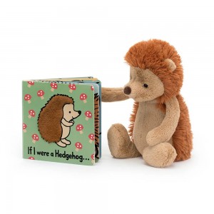 Bebé Jellycat If I Were A Hedgehog Board and Bashful Hedgehog Medium, Marrom | Portugal LDERU-8940