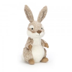 Peluche Jellycat Ambrosie Hare,22cm x 10cm x 10cm Marrom | Portugal IDWUB-2810