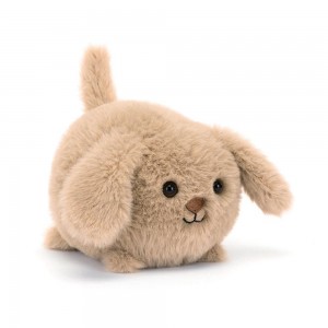 Peluche Jellycat Caboodle Puppy,10cm x 9cm x 11cm Bege | Portugal TKYDP-5712