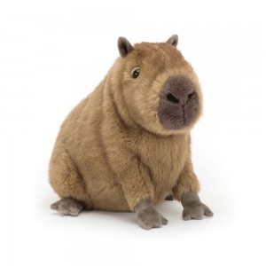 Peluche Jellycat Clyde Capybara,21cm x 17cm x 24cm Marrom | Portugal CNZYJ-7591